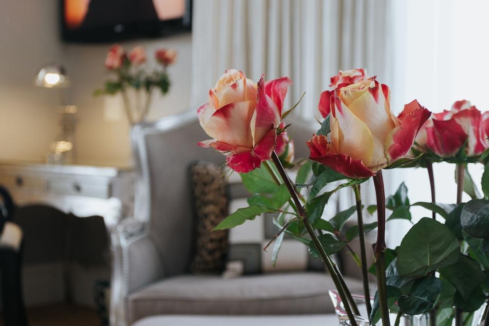 The Light House Boutique Suites Paarl Kültér fotó