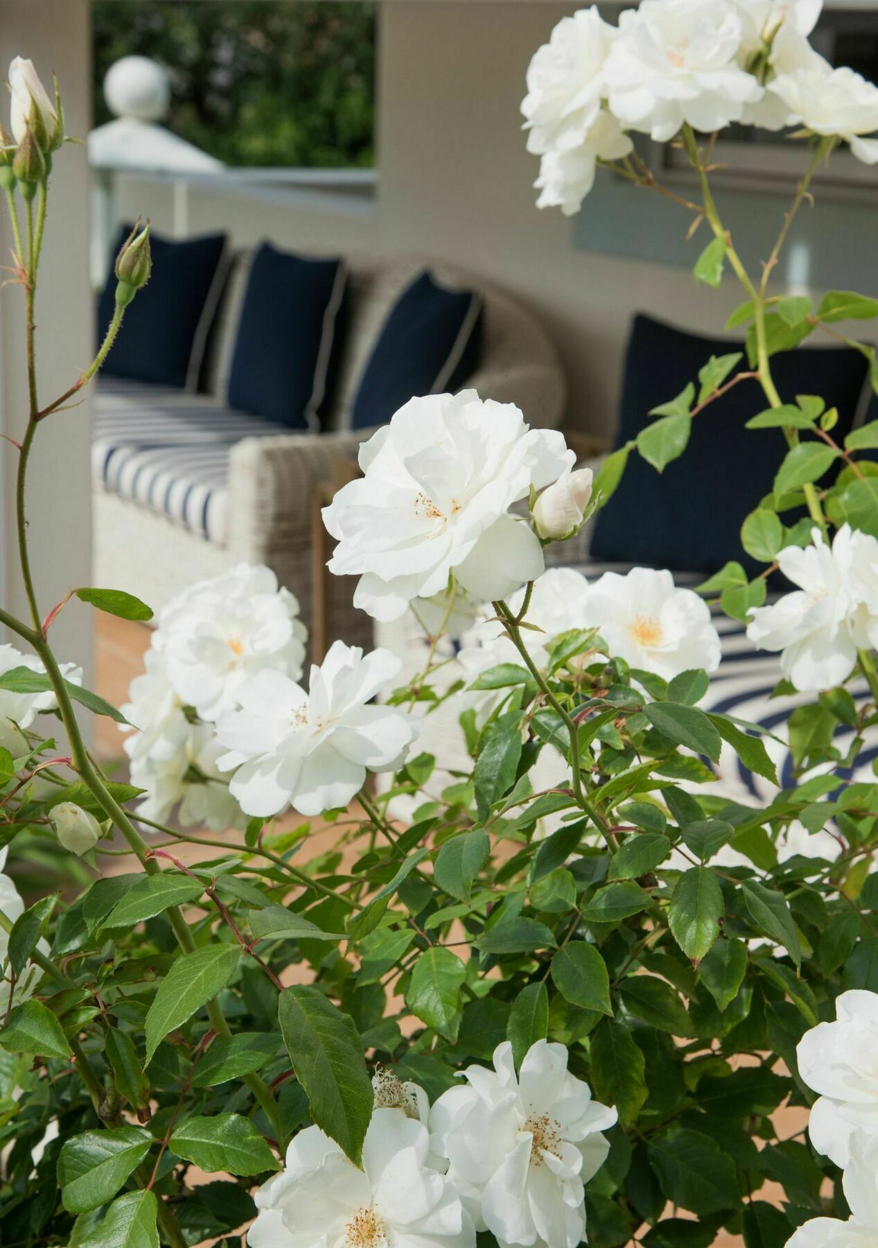 The Light House Boutique Suites Paarl Kültér fotó